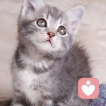 perfect	boy的头像