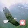 特别的爱给特别的你的头像