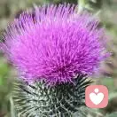 空杯心态的头像