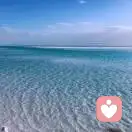 泉的头像