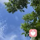 道法自然的头像