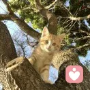 顺其自然的头像