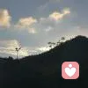 飞翔的的头像