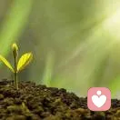抛砖引玉的头像