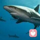 海阔天空的头像