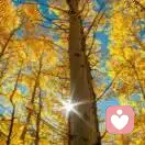 海阔天空的头像