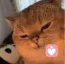 干就完了的头像
