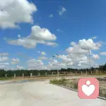 倒车请让路！的头像