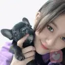 阿聯酋的小丸子