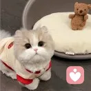 朵拉倾听的头像