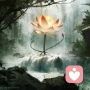 沃原溪流的头像