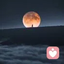 ༺瞳༻的头像