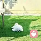 舍予的头像