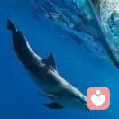 Liveinthemoment的头像