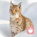 痛过之后方醒悟的头像