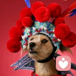 好名字让我的朋友更容易记住我的头像