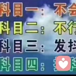 →_→迷★茫←_←的头像