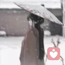 扶瑶直上的头像