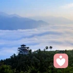 孤_医者殇的头像