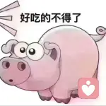 小鲨鱼的头像