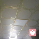 ………………的头像