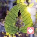 do not.weak.的头像