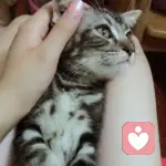 A奥体游泳健身顾问于群的头像