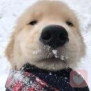 没事多看书