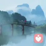 浮生若梦的头像