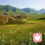 天高云淡的头像