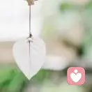 人在旅途的头像