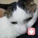 韦曼鸿的头像