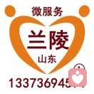 兰陵微服务承接商业推广的头像