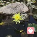 康奈星河的头像