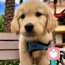 林深雾起.的头像