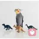 陪你长大的头像