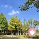 慧心慧悟的头像