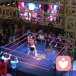 淡淡的清香的头像