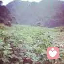 梦溪笔淡的头像