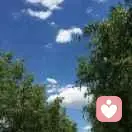 蓝天白云的头像