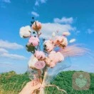 鬼鬼