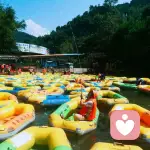 飞絮若可永似雪的头像