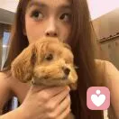 HaTnT的头像
