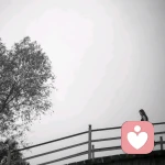 拾光。的头像