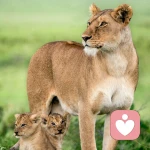 許╮一世安逸。的头像