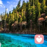 助人自助的头像