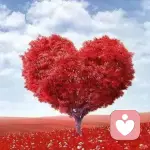 淡淡忧伤的头像