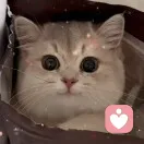 璐的头像