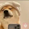 他衫