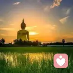 烟雨江南的头像